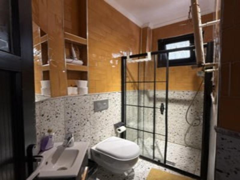 Mansion Gorki image