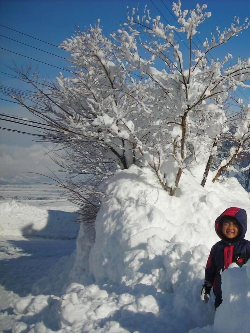Bikkuri Rietan — main photo
