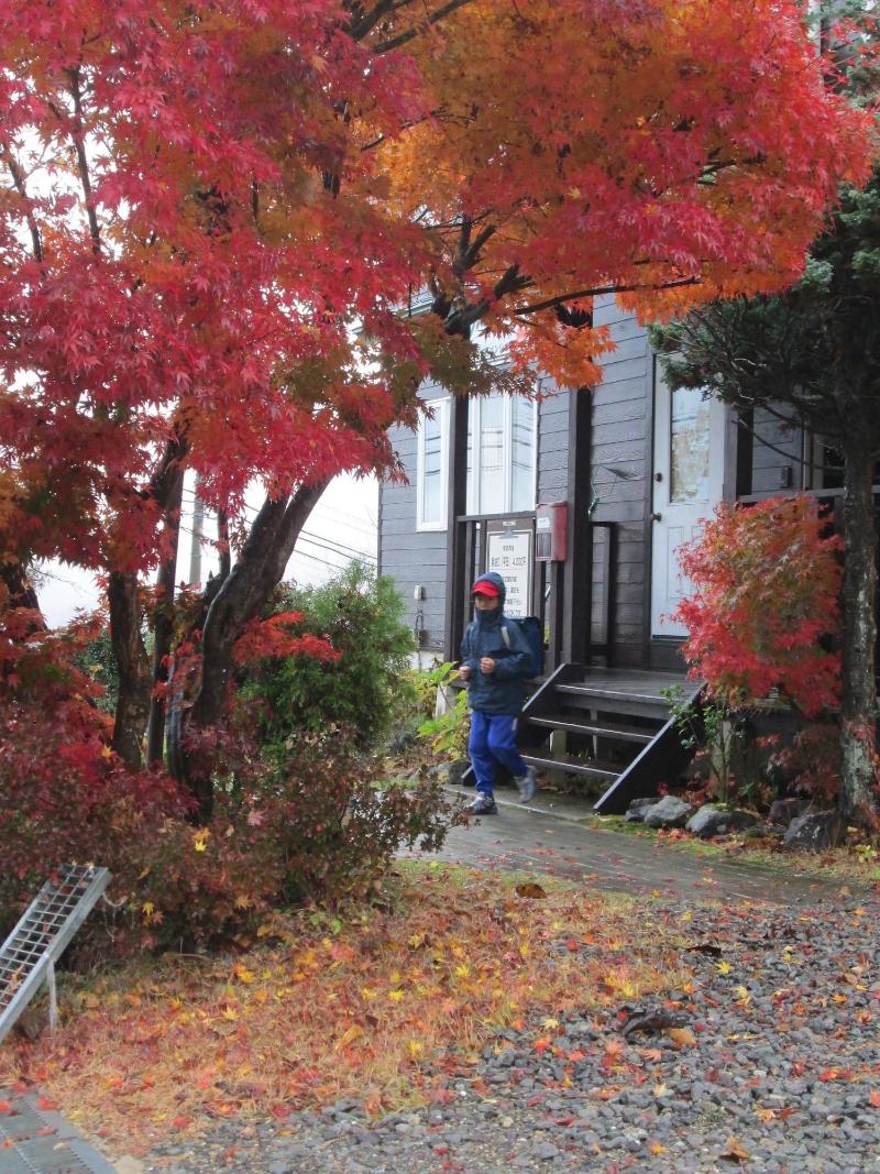 Bikkuri Rietan — photo 3