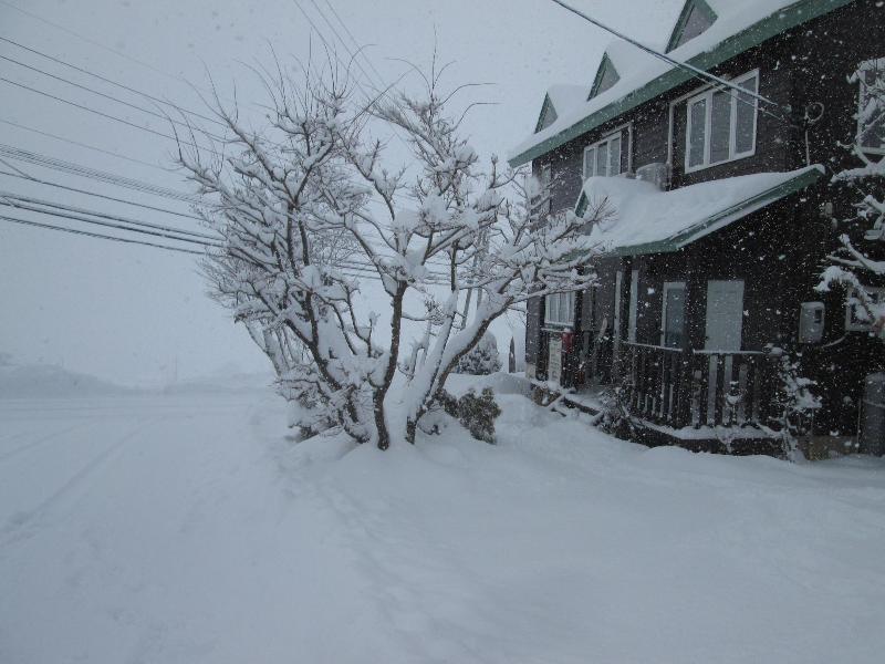 Bikkuri Rietan — photo 4