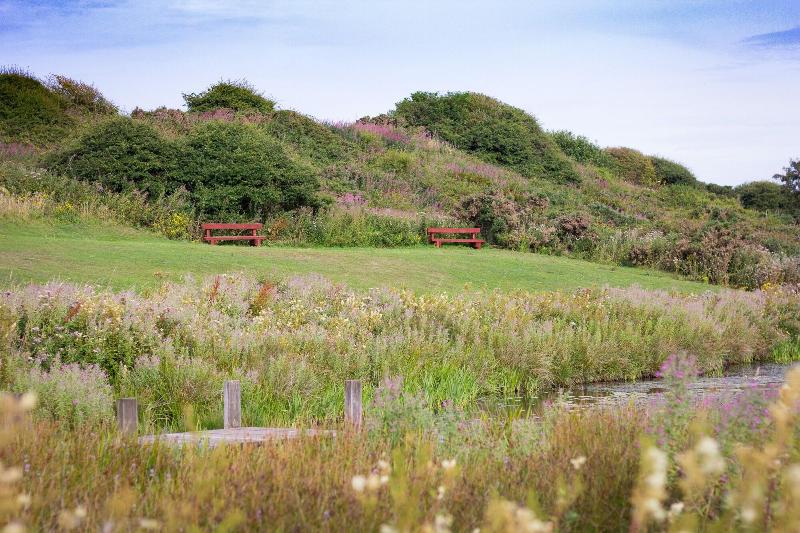 The Bay Filey image