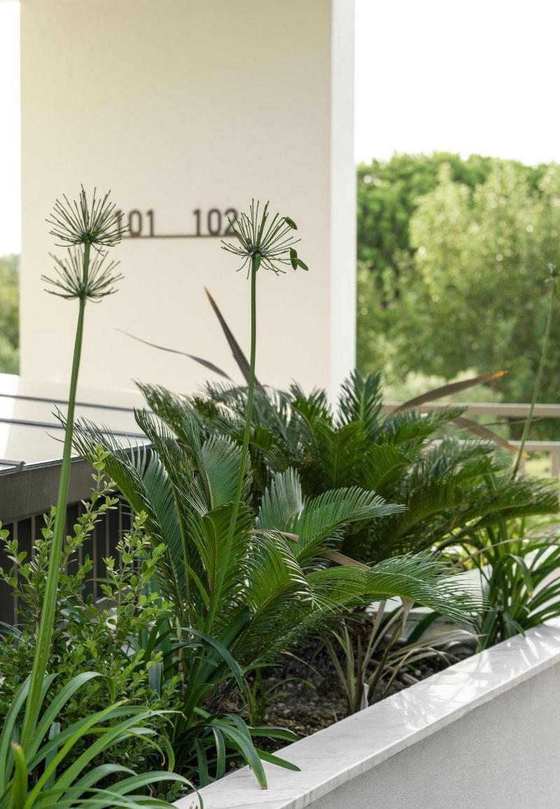 Eco Green Residences Suites — general view