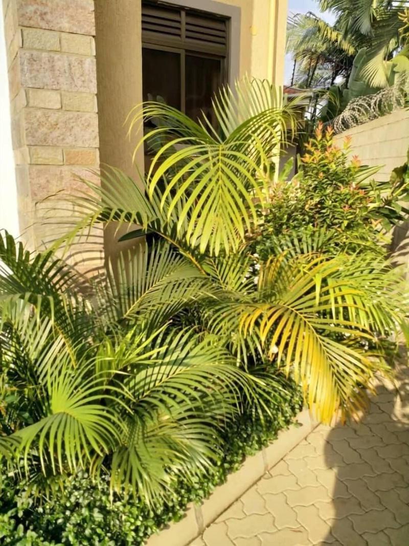 Caran Hotel Apartments image