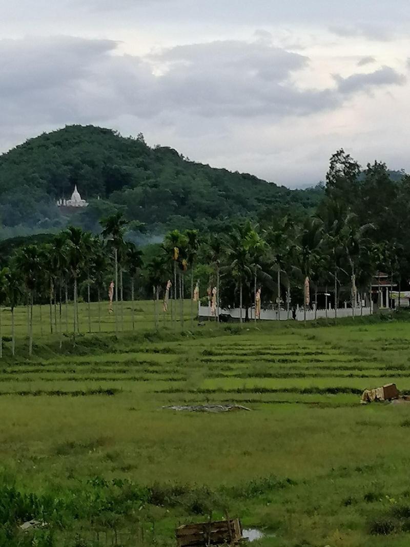 Macnara Traveller S Inn image