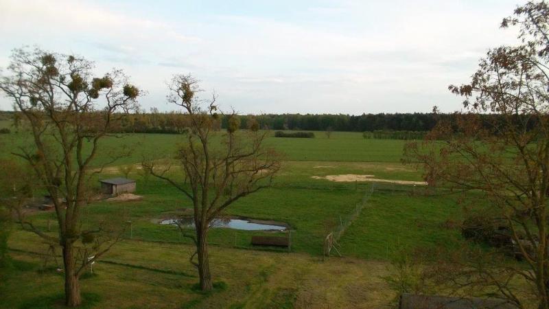 Doma Ne Badetz image
