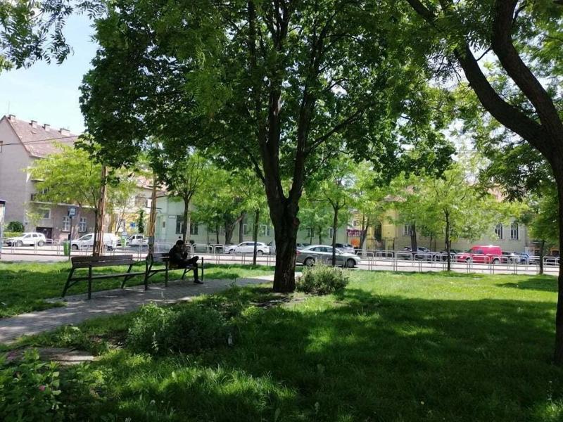 Guest House Orczy Park