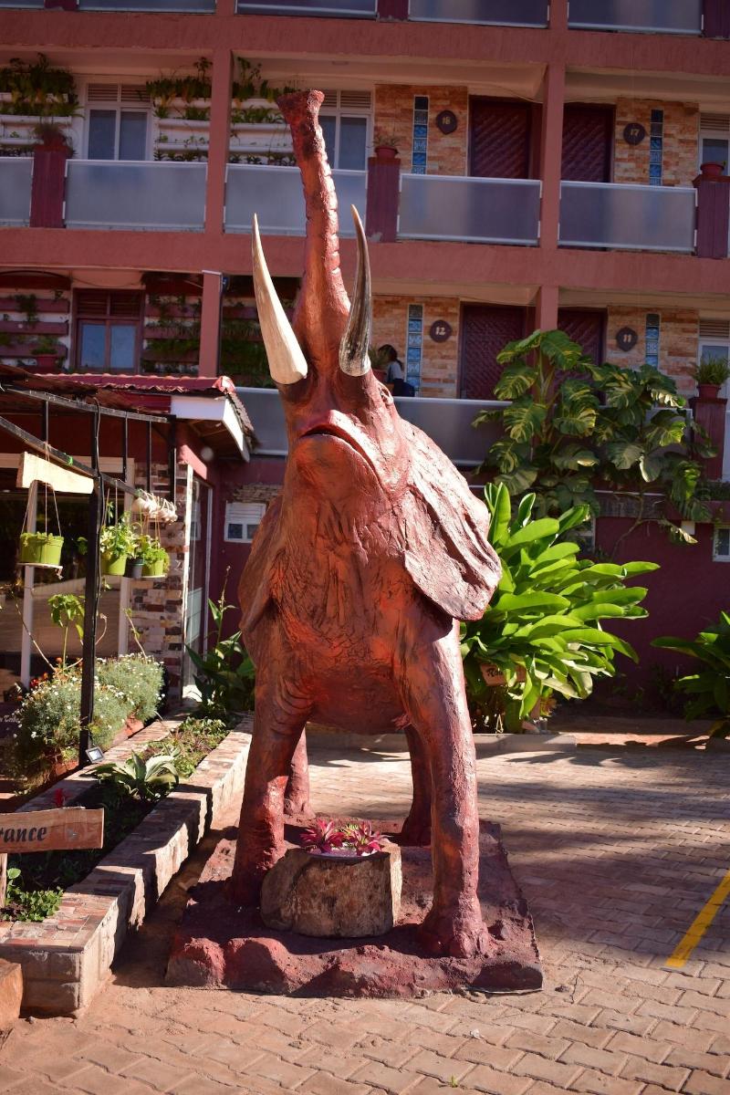 African Tribe Hotel image
