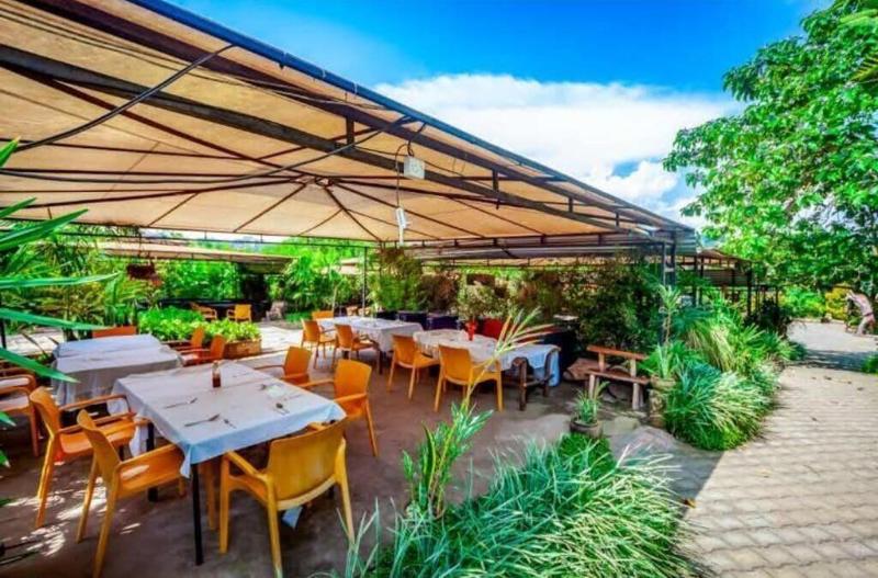 African Tribe Hotel image