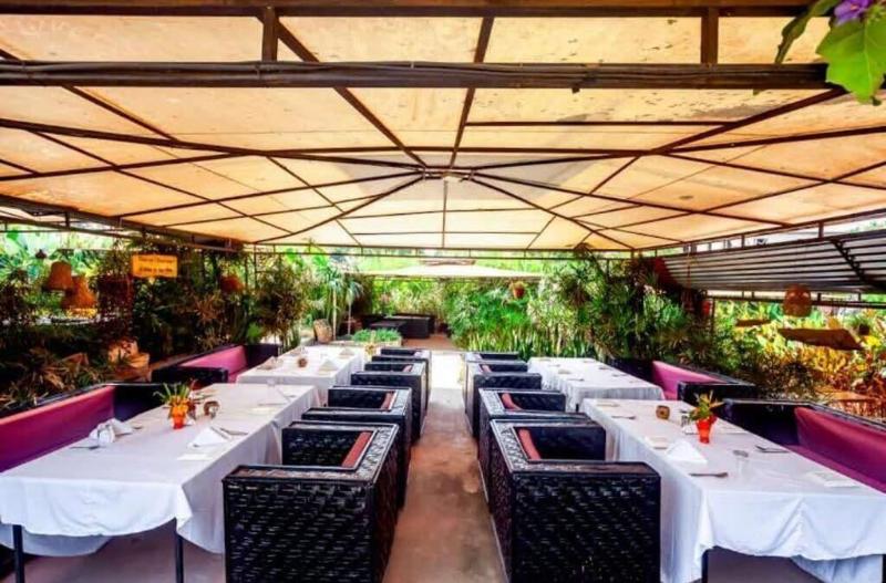 African Tribe Hotel image