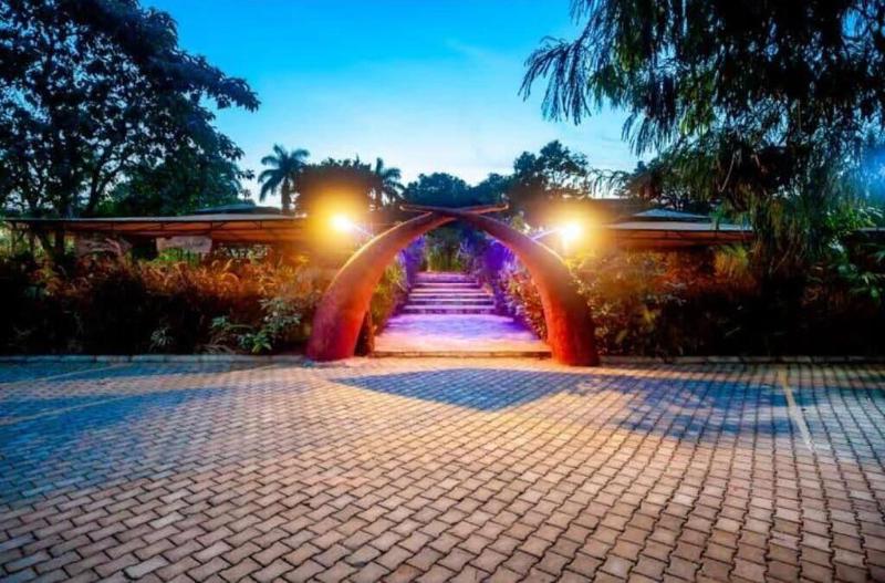 African Tribe Hotel image