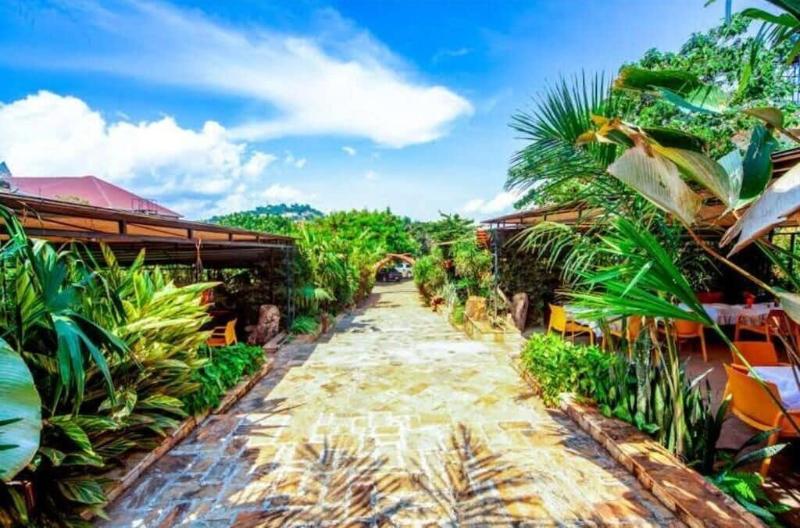 African Tribe Hotel image