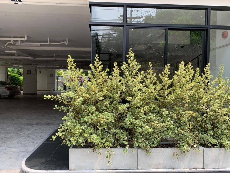 Pacific Residence 39 image
