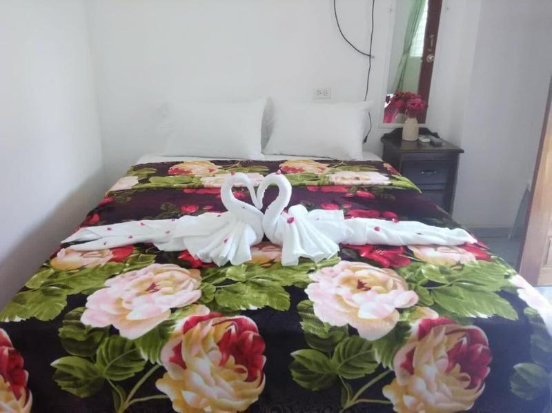 Matus Guest House image
