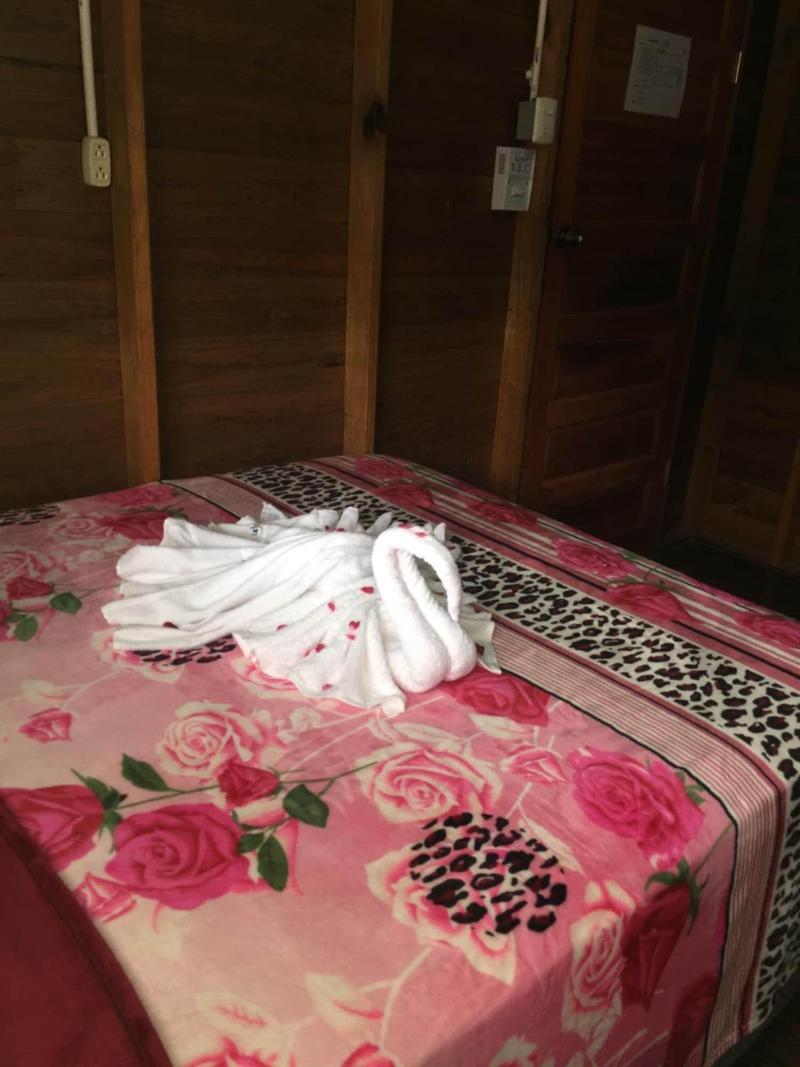Matus Guest House image
