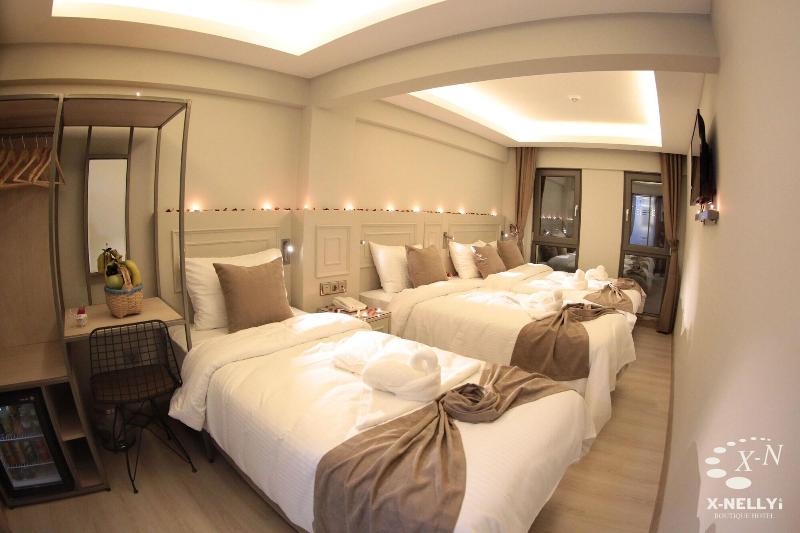 X Nellyi Boutique Hotel image