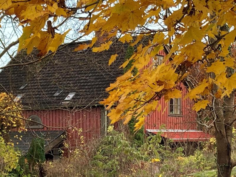 Annes Hus image