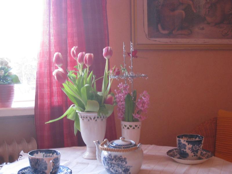 Annes Hus image