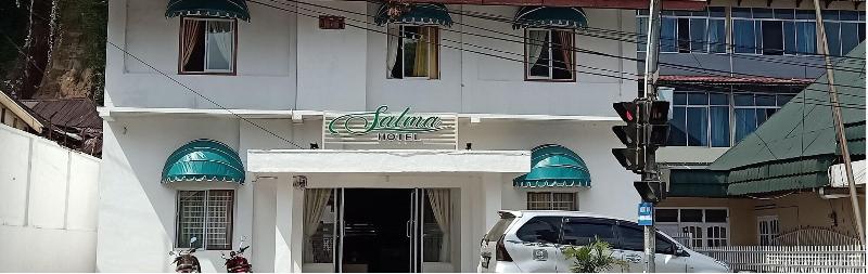 Hotel Salma image