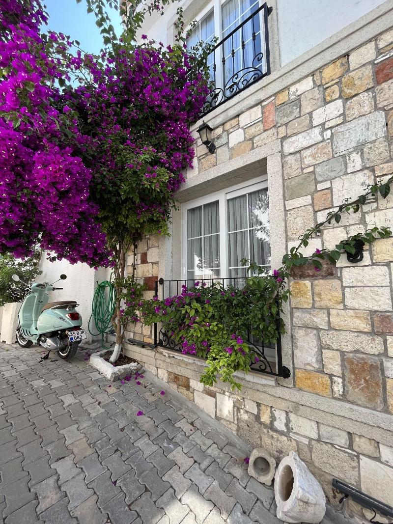 Villa Veria image