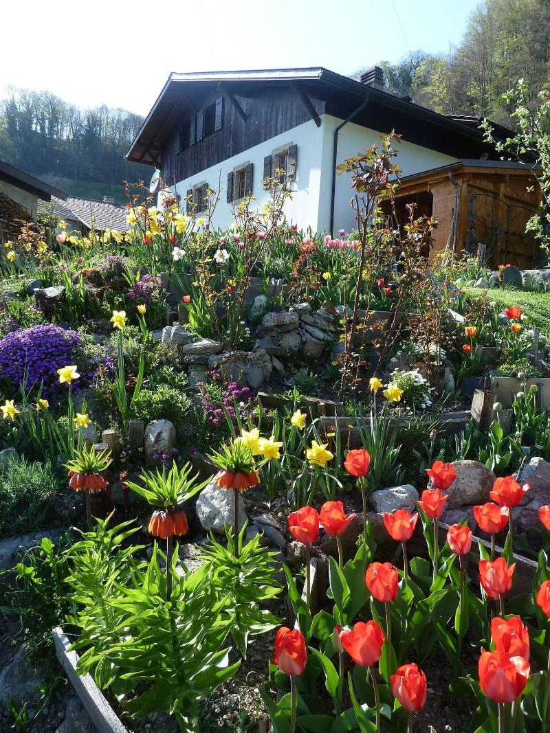 Le Jardin Fleuri — photo 3