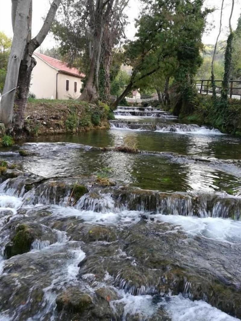 Guesthouse Villa Domenico image
