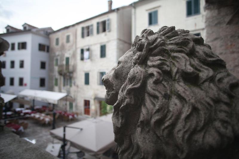 Forza Lux Guest House — photo 2