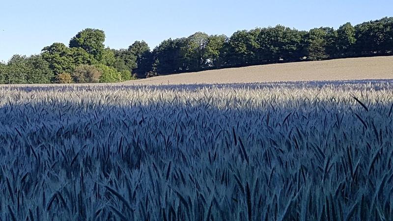Nuances Bretonnes image