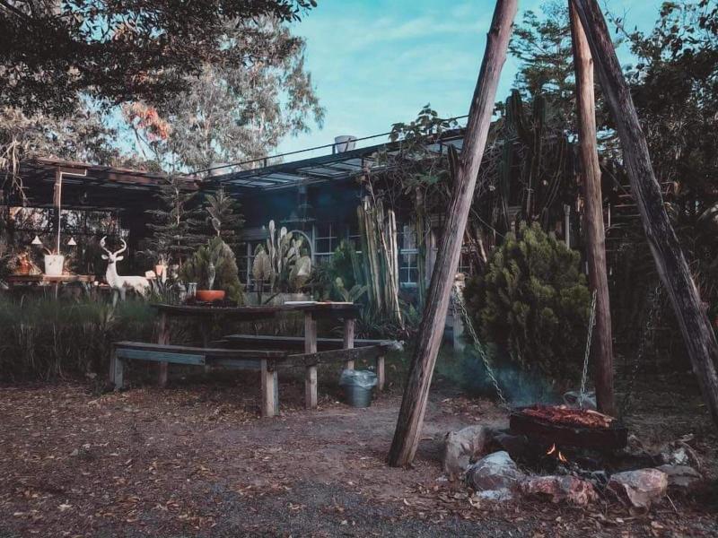 Rewild Camp And Cafe — photo 4