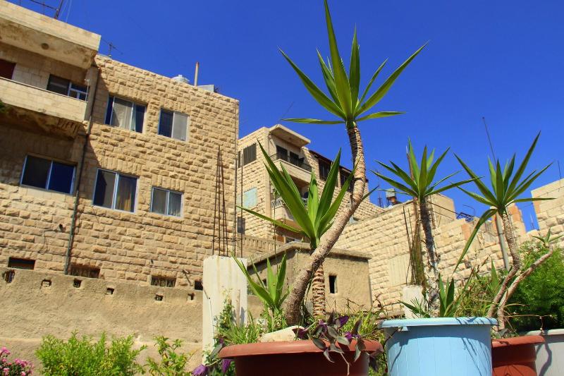 Shurooq Shams Hotel Tours By Sunrise image