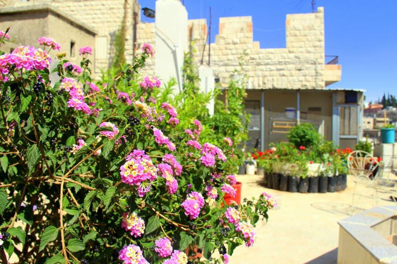 Shurooq Shams Hotel Tours By Sunrise image