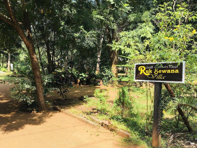 Ruk Sewana Villa — photo 2