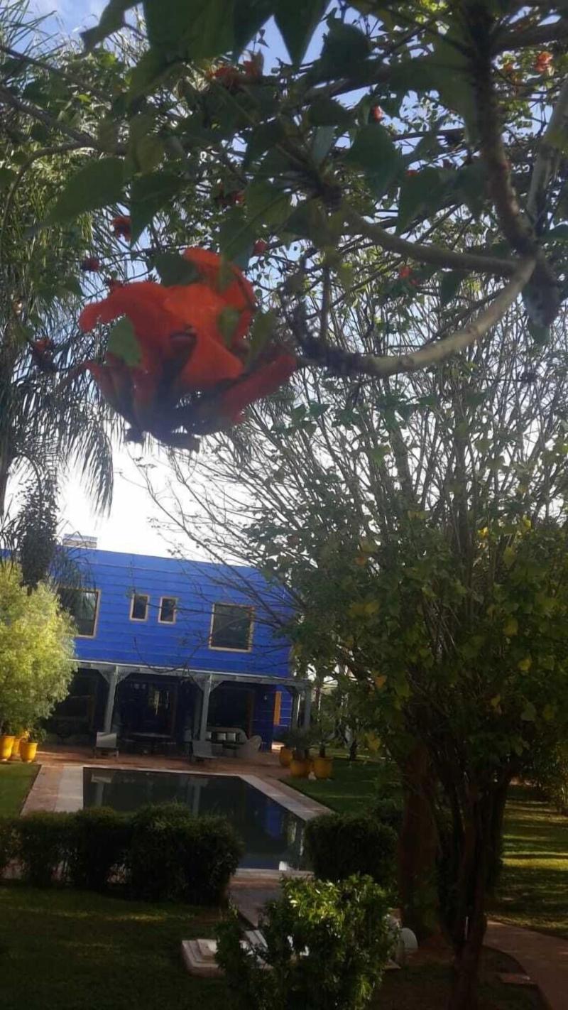 Heliconia Park — photo 5