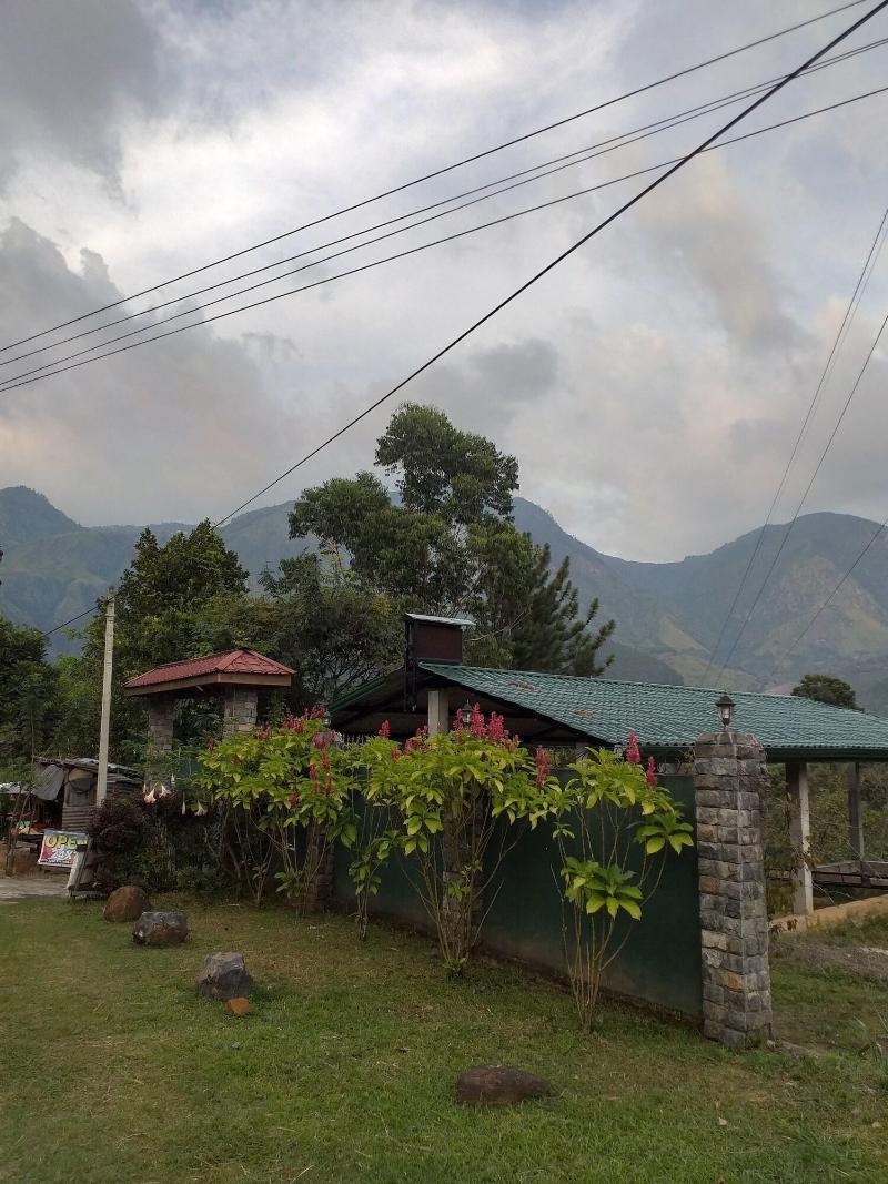 Hamadhi Guest image