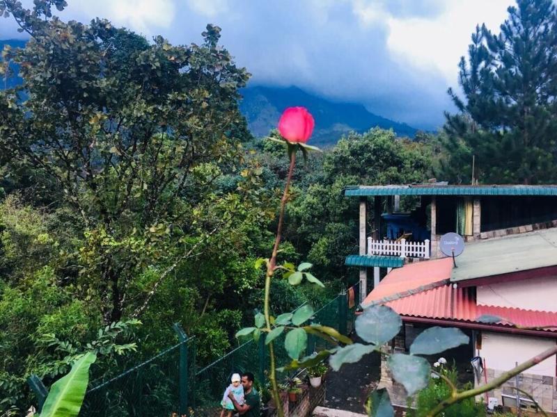 Hamadhi Guest image