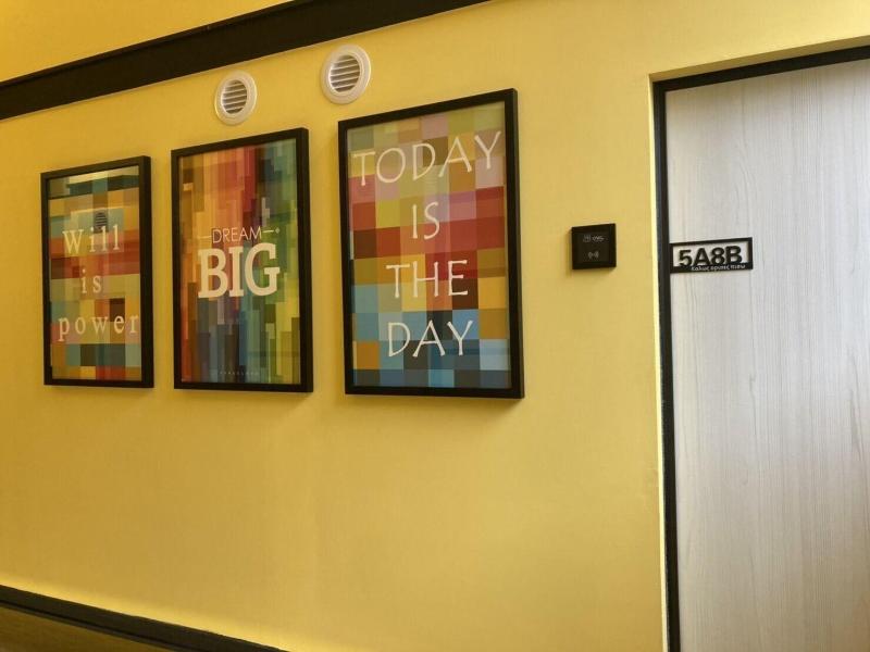 Owl Hostel image