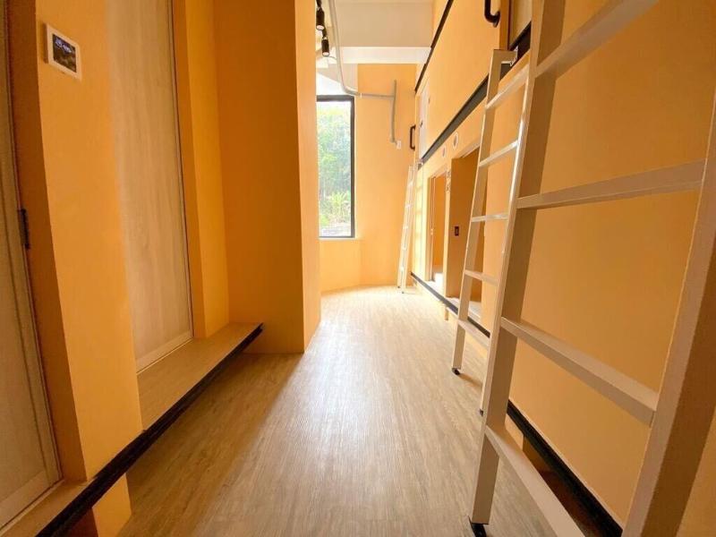 Owl Hostel image