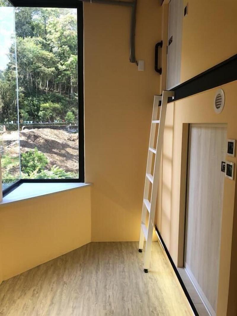 Owl Hostel image