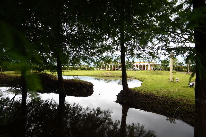 Focacia Bnb image