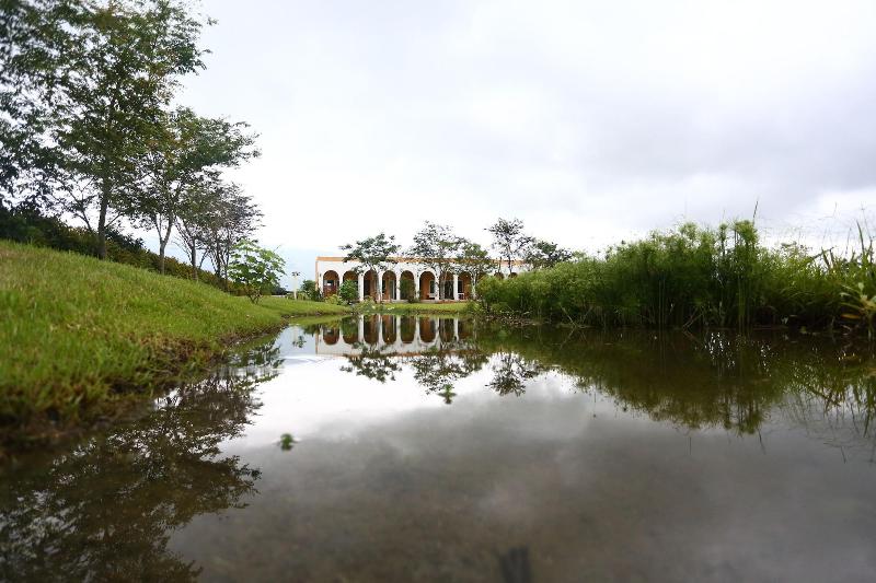 Focacia Bnb image