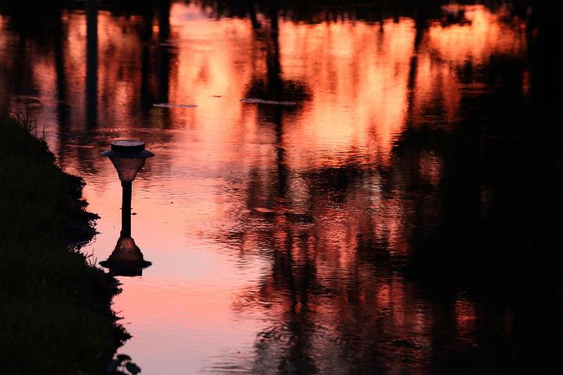 Focacia Bnb image