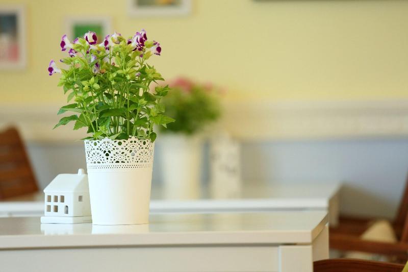 Focacia Bnb image