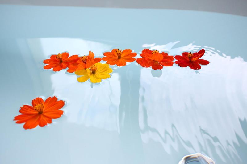 Focacia Bnb image