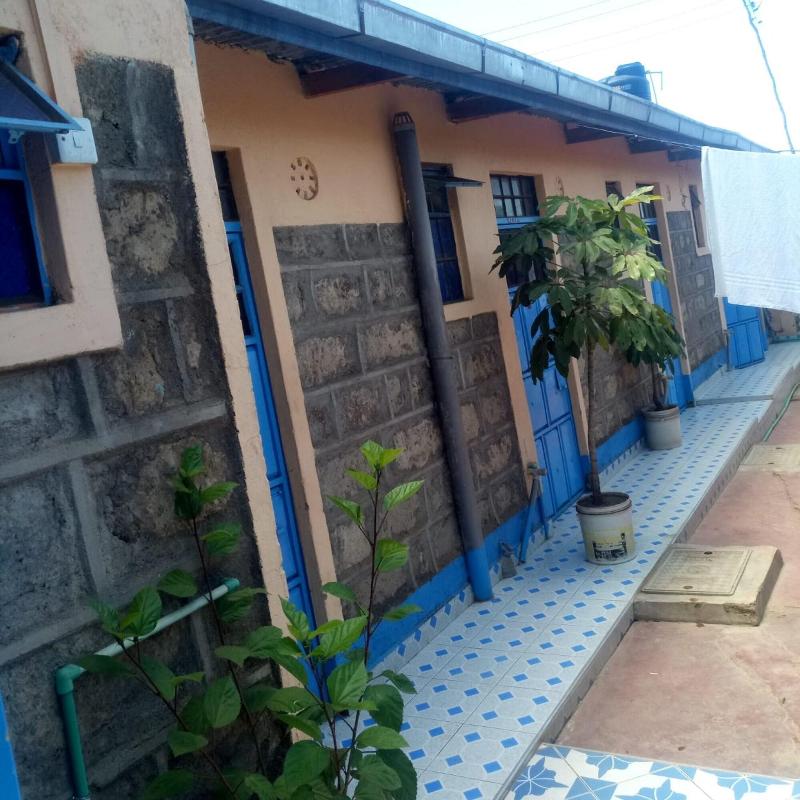 Bidii Bar Restaurant — main photo