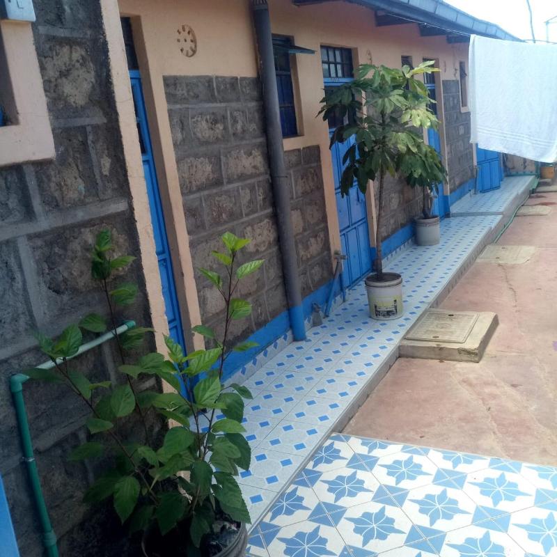 Bidii Bar Restaurant — photo 2