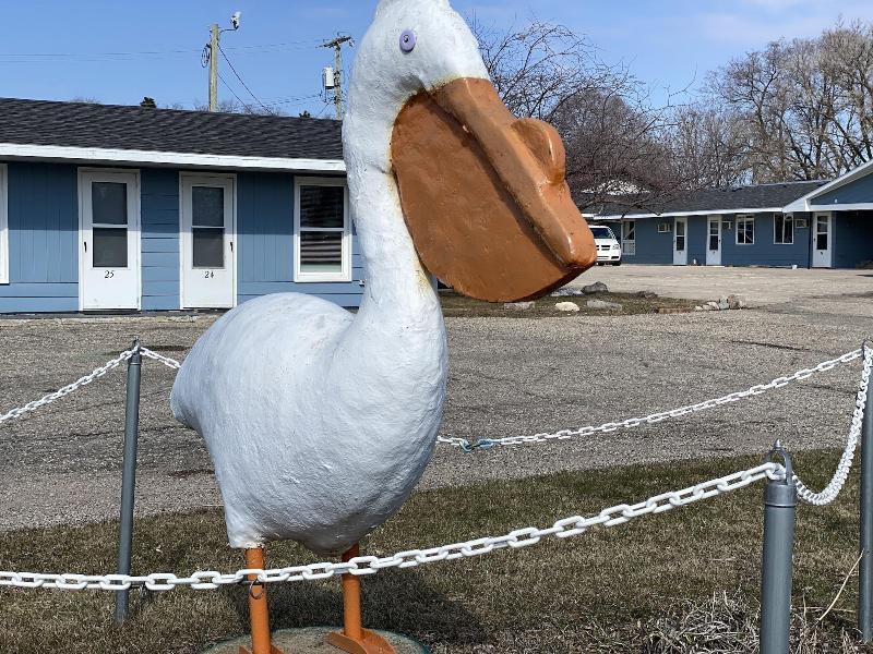 Pelican Motel image