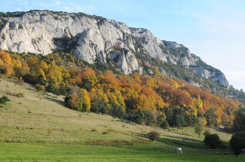 Ra Serve Naturelle De Boussia Re — photo 2
