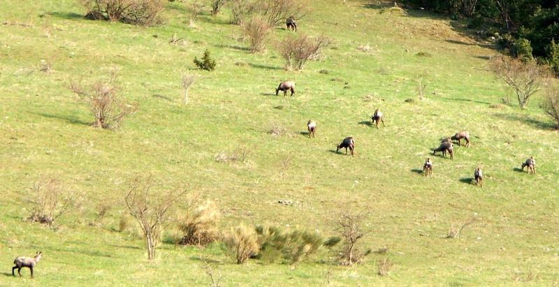 Ra Serve Naturelle De Boussia Re — photo 5