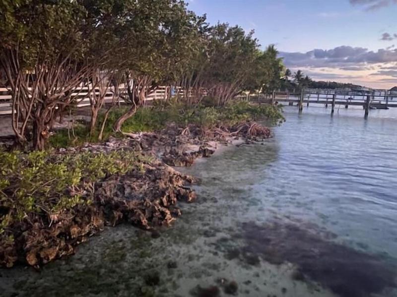 Bahia Bay Resort — general view