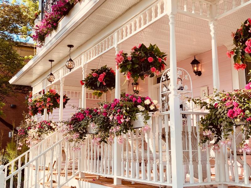 Maison Rose