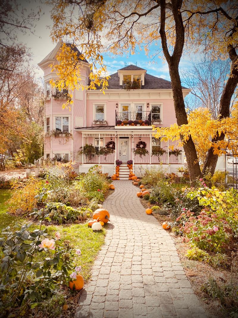 Maison Rose